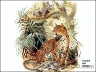 Jungle Cats screenshot